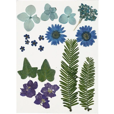 Afbeelding van Creativ Company Gedroogde Bloemen en Bladeren Blauw, 19dlg.