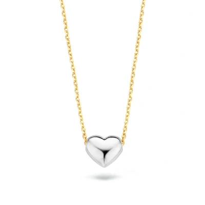 Afbeelding van Blush dames Ketting van 14 karaat wit en geelgoud 3061BGO