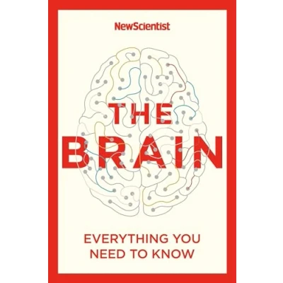 Afbeelding van The Brain: Everything You Need to Know