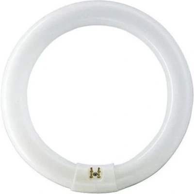 Afbeelding van Philips 22 W G10q fluorescente lamp B Neutraal wit