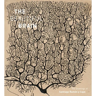 Afbeelding van The Beautiful Brain: Drawings of Santiago Ramón y Cajal