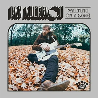 Afbeelding van Waiting On A Song (LP)