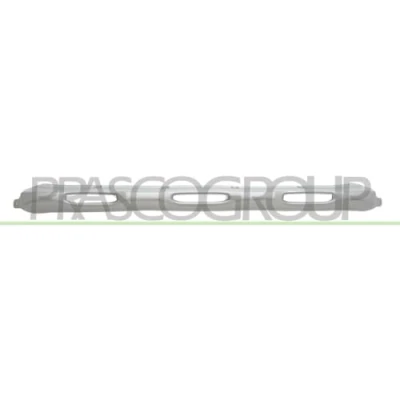 Afbeelding van Sier / beschermingspaneel, bumper PRASCO DA7341245