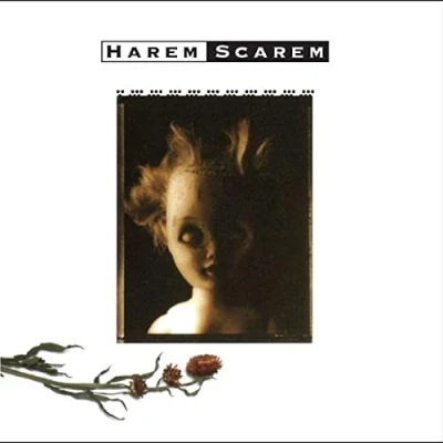 Afbeelding van Harem Scarem