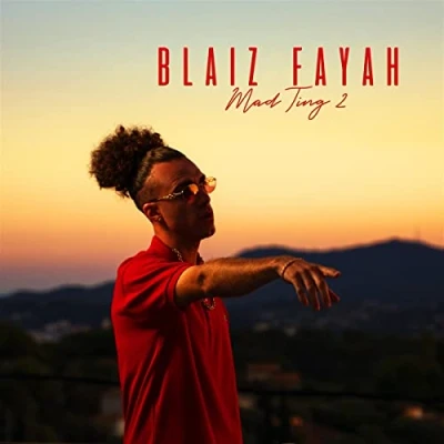Afbeelding van Blaiz Fayah Mad Ting 2 (LP)