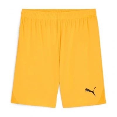 Afbeelding van PUMA teamGOAL Korte broek
