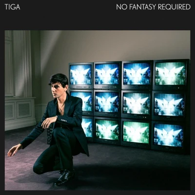 Afbeelding van Tiga No Fantasy Required (2 LPs)