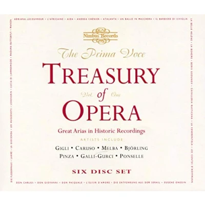 Afbeelding van Various Artists The Prima Voce Treasury Of Opera, V (6 CD)