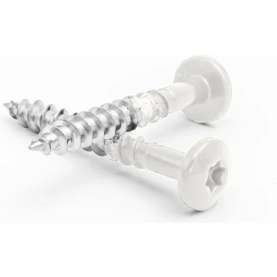 Afbeelding van Wovar Rockpanel schroeven Wit RVS A4 4.5 x 35 mm Torx 20 Doos 200 stuks