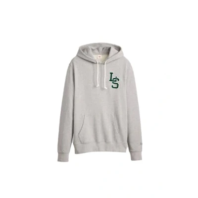 Afbeelding van Levi&#039;s Standard Graphic Hoodie Hoodie, Heren, Maat: Large, Letterman