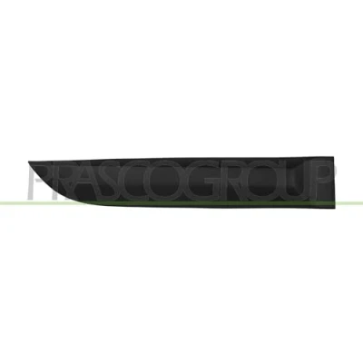 Afbeelding van Sier / beschermingspaneel, deur PRASCO RN4241453