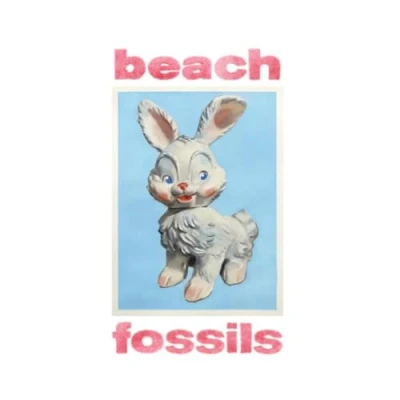 Afbeelding van Beach Fossils Bunny (LP)