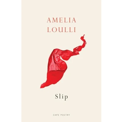 Afbeelding van Slip: From the Winner of Northern Writers’ Award