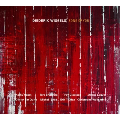 Afbeelding van Diederik Wissels Song Of You (CD)