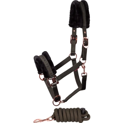 Afbeelding van Harry&#039;s Horse Halsterset Denici Cavalli Scabiosa Olijf