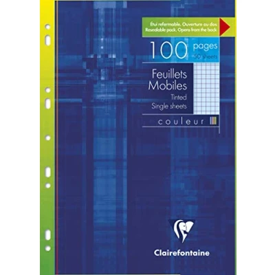 Afbeelding van Etui met gekleurde losse bladen A4 50 geperforeerde geruit 5x5mm