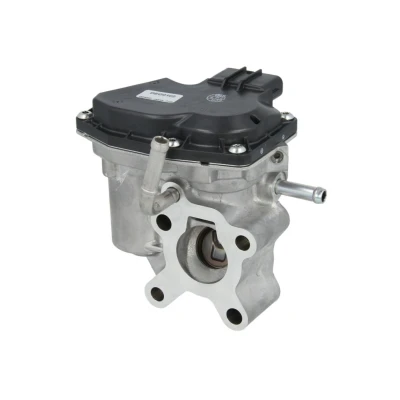 Afbeelding van EGR klep DENSO DEG 0102