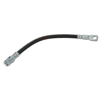 Afbeelding van Delphi Diesel Remslang LH0230