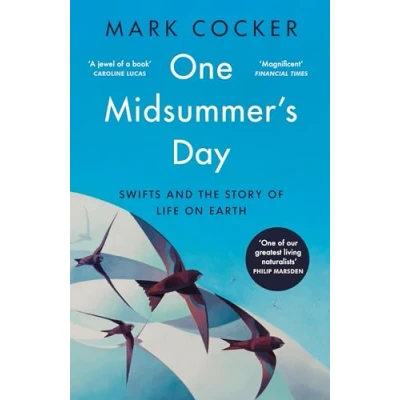 Afbeelding van One Midsummer&#039;s Day: Swifts and the Story of Life on Earth