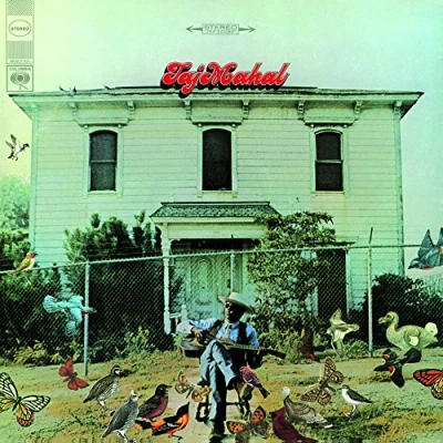 Afbeelding van Taj Mahal (LP)