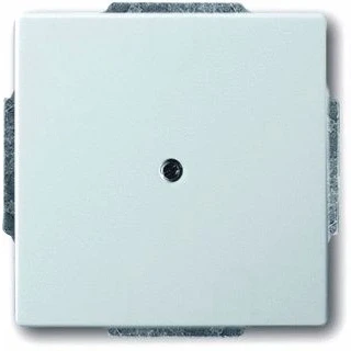 Afbeelding van BJ 1749 866 CPL 1X UIT BOR10 PURE