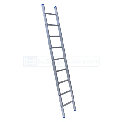 Afbeelding van Solide 1 delige ladder 9 sporten met rechte voet