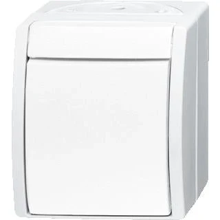 Afbeelding van Abb busch jaeger schakelaar 2p opbouw ip44 ocean alpin 2cka001085a1627