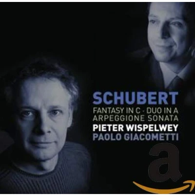 Afbeelding van Pieter Wispelwey &amp; Paolo Giacometti Schubert: Fantasy in C, D. 934/ Duo A, 574/Arpeggione Sonata (CD)
