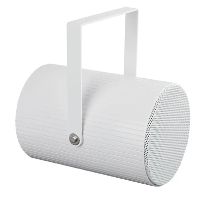 Afbeelding van DAP PSU 620M 20 Watt 6&quot; Unidirectional projector speaker