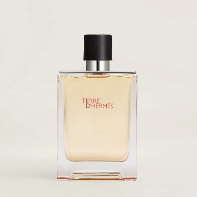 Afbeelding van Hermes Terre d&#039;Hermes 100 ml Eau de Toilette Spray