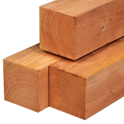 Afbeelding van Paal Red Class Wood 20,0x20,0x400 cm Tuindeco