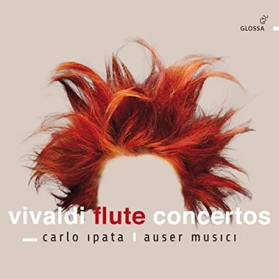 Afbeelding van Carlo Ipata &amp; Auser Musici Flute Concertos Nos. 1 6 (CD)