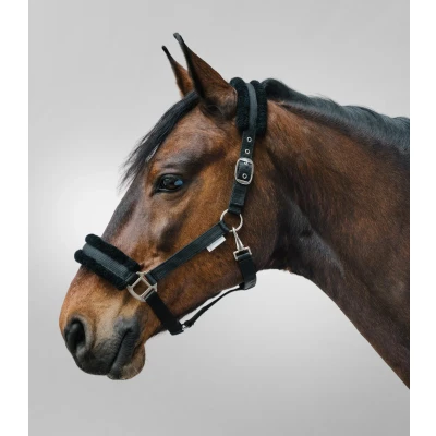 Afbeelding van Waldhausen Halster First Zwart Paardenhalster Cob
