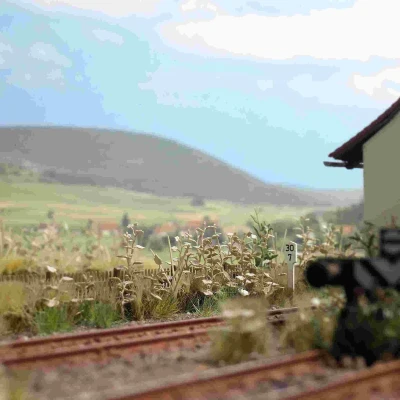 Afbeelding van Busch Gestrüpp H0 (Bu1260) modelbouwsets, hobbybouwspeelgoed voor kinderen, modelverf en accessoires