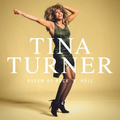 Afbeelding van Tina Turner Queen of Rock &#039;N&#039; Roll (LP)
