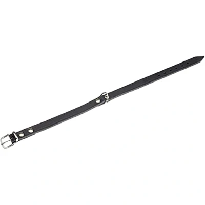 Afbeelding van Karlie Halsband Rondo, geklonken L: 37 cm B: 12 mm zwart