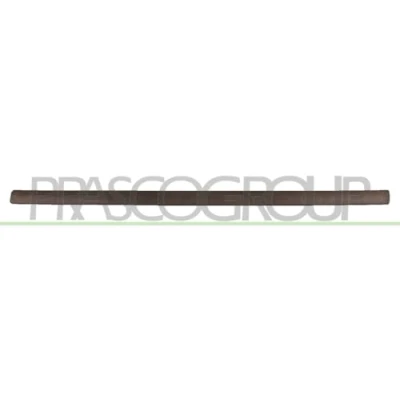 Afbeelding van Sier / beschermingspaneel, deur PRASCO OP3501403