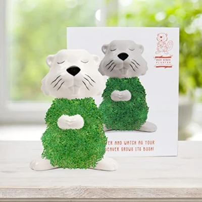 Afbeelding van Gift Republic bever plantendier de keramische voor het kweken van chiazaad kweekschaal in bevervorm Chia Seeds Starter Kit Beaver Plant Set cadeau Kerstmis, verjaardag