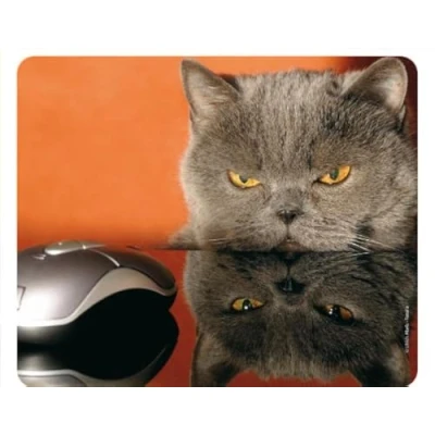 Afbeelding van GRUMPY CAT Funny Computer Mouse mat/kwaliteit muismat van extreem scheurbestendig speciaal rubber met een sterk hechtende onderkant voor optimale grip (nr. 51)