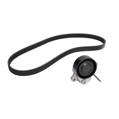 Afbeelding van Poly V riem set CONTINENTAL CTAM 6PK1005K1