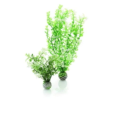 Afbeelding van Winterbloem set 2 biOrb