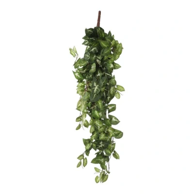 Afbeelding van Mica Decorations fittonia hangend groen maat in cm: 80 x 30 15