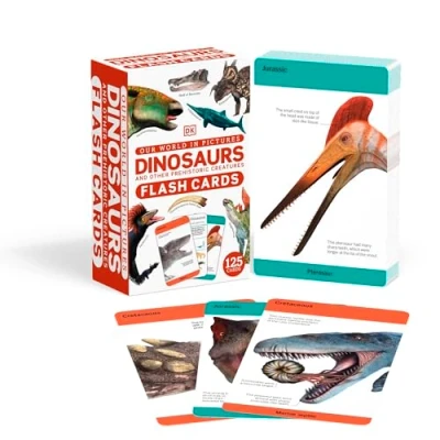 Afbeelding van Our World in Pictures Dinosaurs and Other Prehistoric Creatures Flash Cards