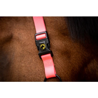 Afbeelding van Excellent Horse Superior Halster XS Roze