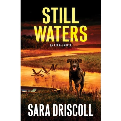 Afbeelding van Still Waters: A Riveting Novel of Suspense: 7