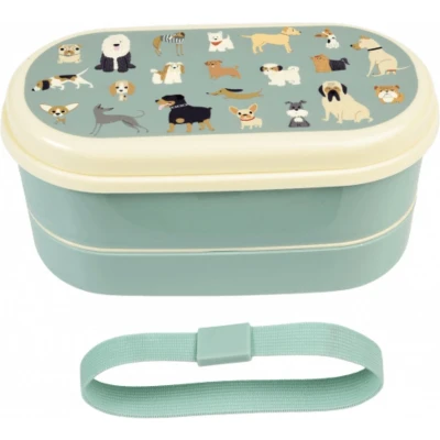Afbeelding van Rex london bento box met bestek best in show