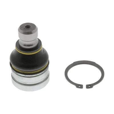 Afbeelding van Moog Fuseekogel CI BJ 10658