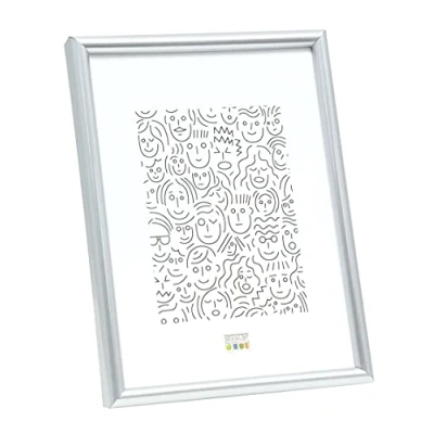 Afbeelding van Deknudt Frames fotolijst S011D1 smal zilver in kunststof 20x25 cm
