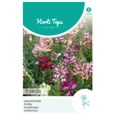 Afbeelding van Antirrhinum, Leeuwenbekje Tetraploide gemengd
