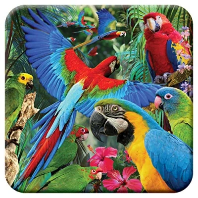 Afbeelding van 3D LiveLife Onderzetter van Kurk Papegaai Pandemonia Deluxebase. Lenticulaire Vogel Onderzetter. Antislip drinkmat met origineel kunstwerk de bekende kunstenaar David Penfound